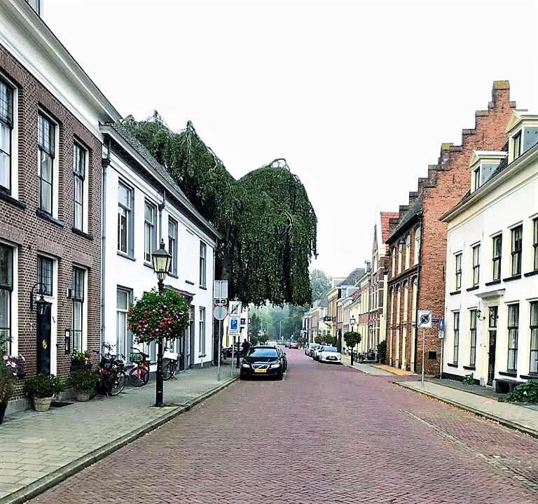 De Buurvrouw Nr.18 Bed & Breakfast Doesburg Exterior photo